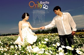 80后韩式婚纱礼服PSD